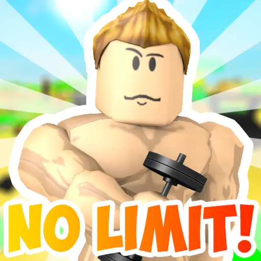 Lifting Simulator codes