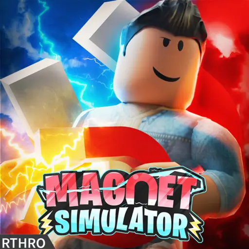 Magnet Simulator codes