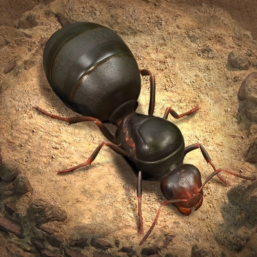 The Ants: Underground Kingdom codes