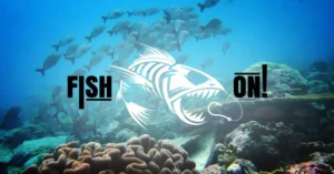 Fish On Codes (April 2025): Get Free Cash, Coins, Packs, and More