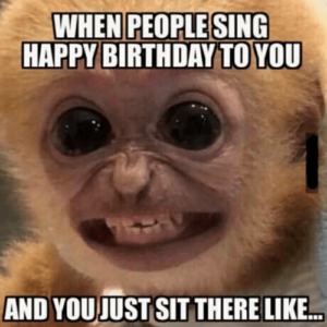 Monkey Meme